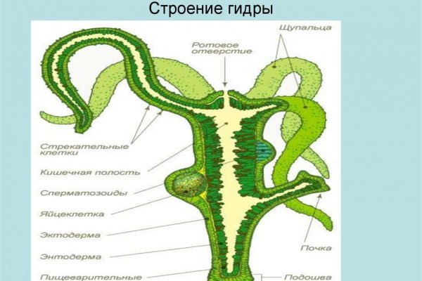 Кракен найти сайт