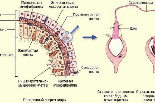 Кракен даркнет регистрация