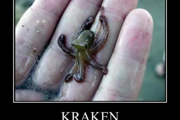 Как зайти на kraken маркетплейс