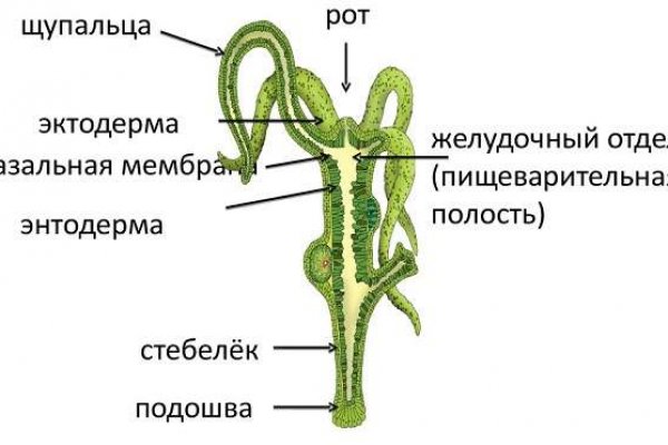 Kraken зеркала gigageek ru