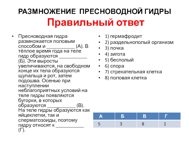 Кракен сайт зеркало рабочее на сегодня